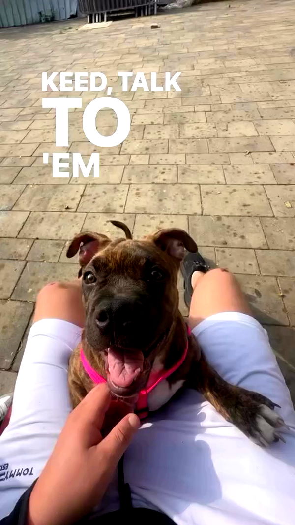 michelleloven_ archive video preview