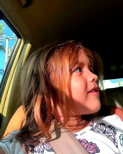 iambohema.v2 iambohema.v2 archive video