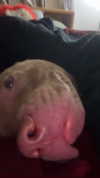 heathergrace67 Altpins Profile Picture