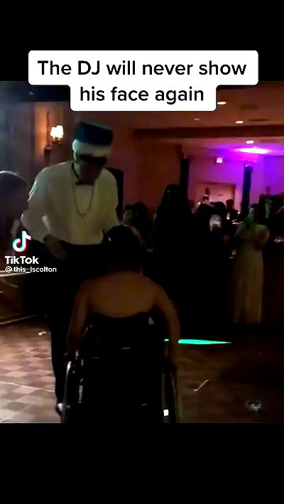 tuliprivet tuliprivet archive video