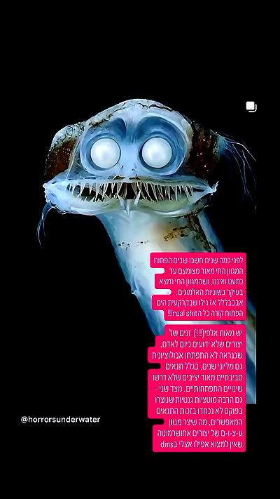 iambohema.v2 iambohema.v2 archive video