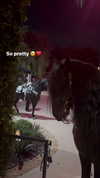 jailyneojeda Altpins Profile Picture