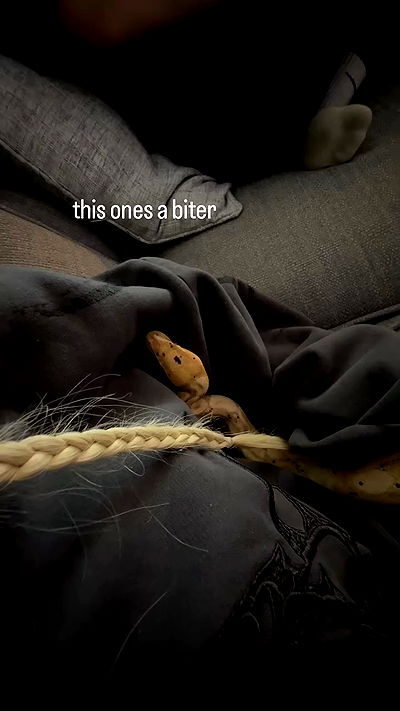 alexandramarianna alexandramarianna archive video