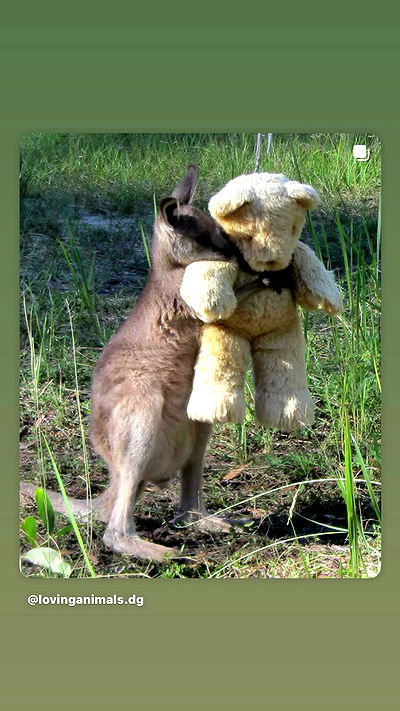 dustheadd dustheadd archive video