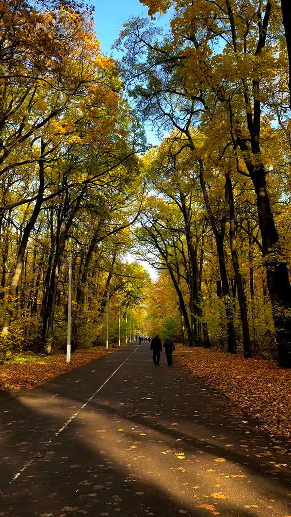 nyityam archive video preview