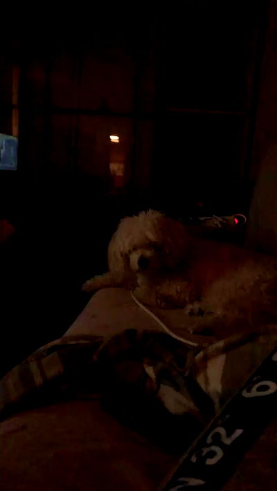 feelbetterinmysweater feelbetterinmysweater archive video