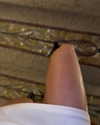 chloetamiii Altpins Profile Picture