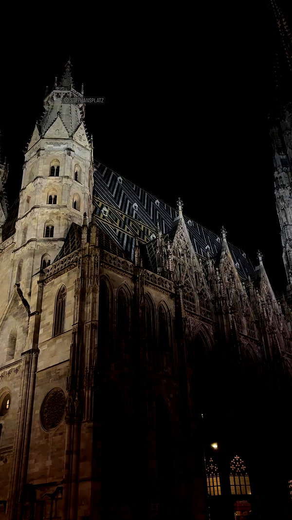 noammalka___ archive video preview