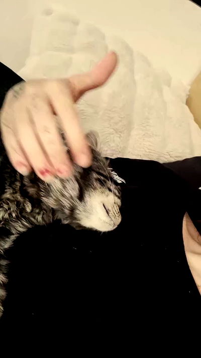 aekamee aekamee archive video