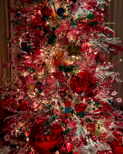 iamcardib iamcardib archive video