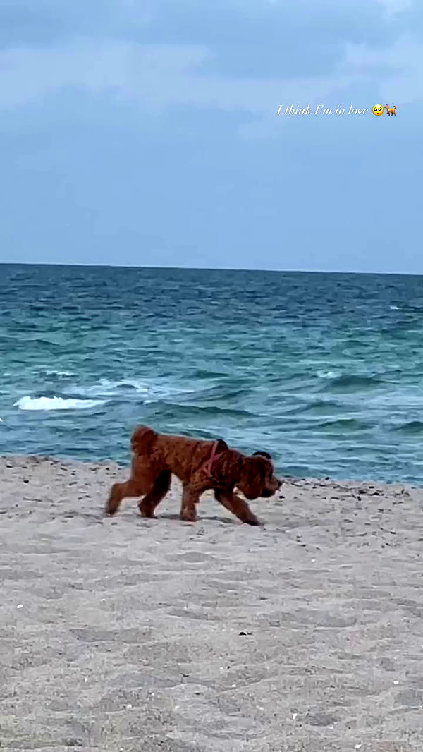 payton.r archive video preview