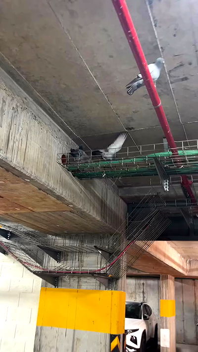 laluzone laluzone archive video