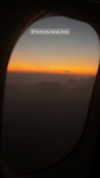 noa_mendel_ Altpins Profile Picture