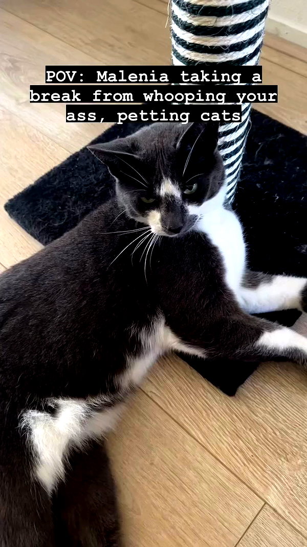 tanukiicos archive video preview