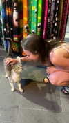 roni_ackerman Altpins Profile Picture