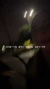liem_sadan Altpins Profile Picture