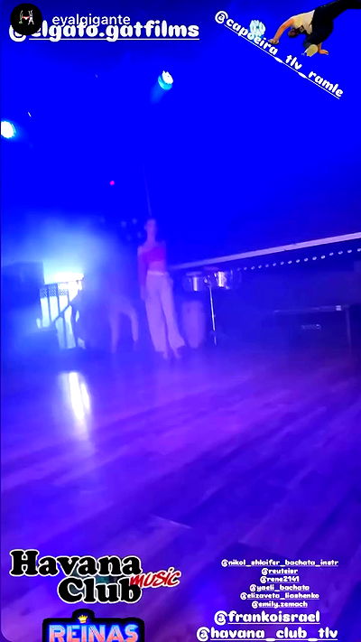 rene2141 rene2141 archive video