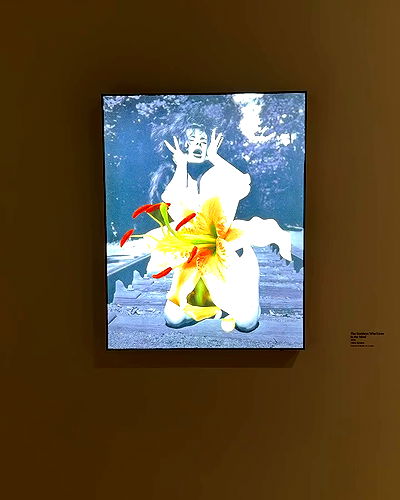 miakhalifa miakhalifa archive video