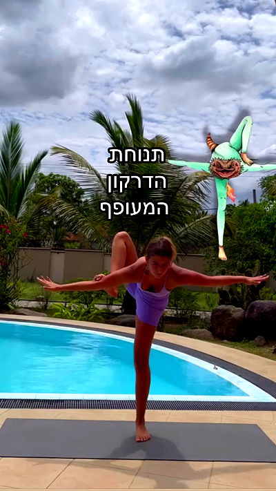 liad.arazi liad.arazi archive video