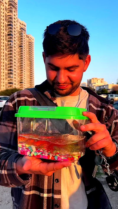 laluzone laluzone archive video