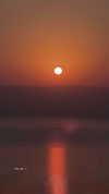 orcoheen Altpins Profile Picture