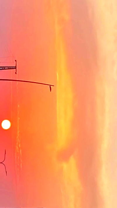 noa_zemlyanski noa_zemlyanski archive video