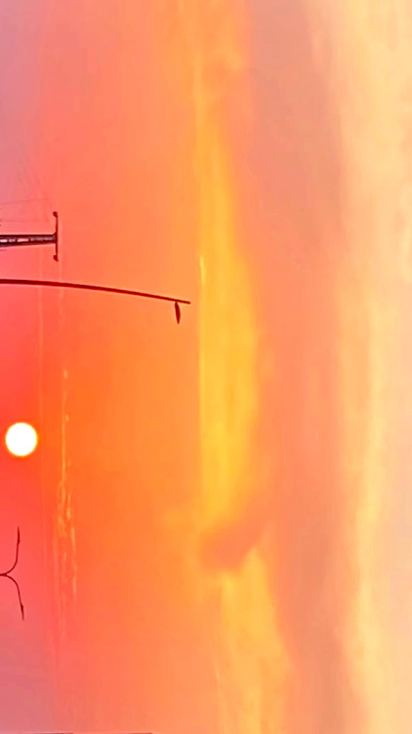noa_zemlyanski archive video preview