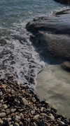 lital.oss Altpins Profile Picture