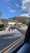 sydney_melman Altpins Profile Picture