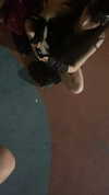 schnuckell Altpins Profile Picture