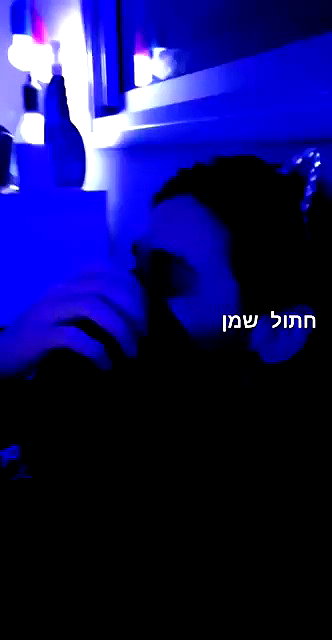 babyyygorilla archive video preview