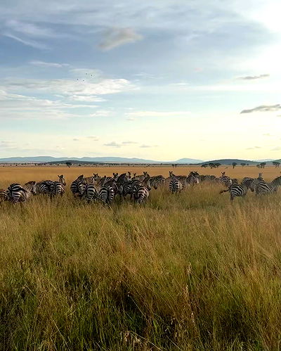 sydney_sweeney sydney_sweeney archive video