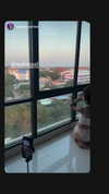 lapahappa1 Altpins Profile Picture