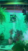 mittzaa_ Altpins Profile Picture