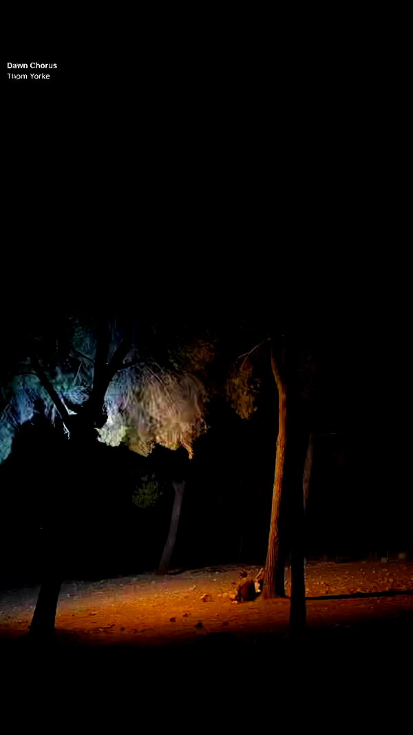 rommy_banouz archive video preview