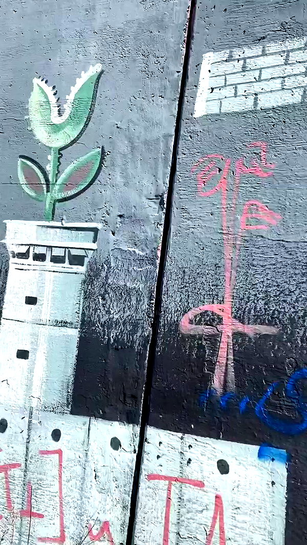 _femalien archive video preview