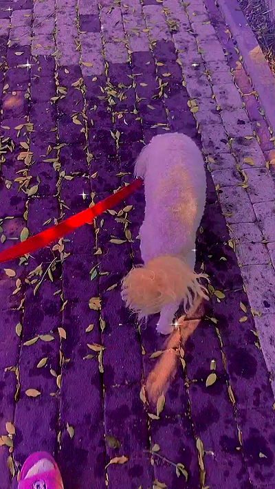 feelbetterinmysweater feelbetterinmysweater archive video