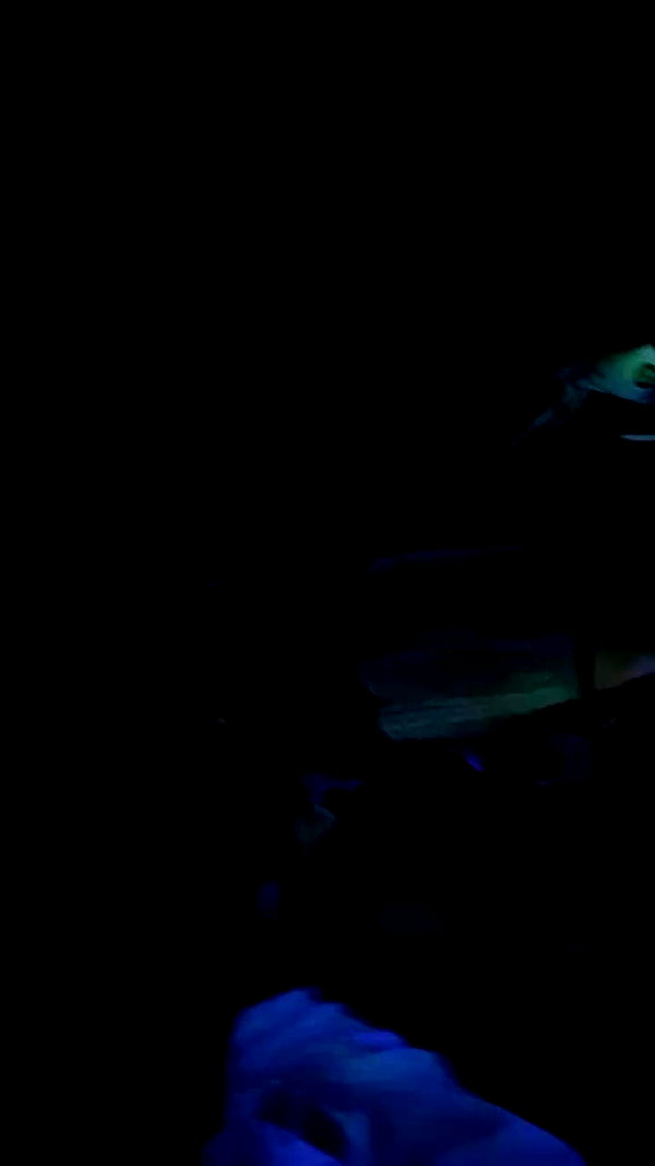 lilllush archive video preview