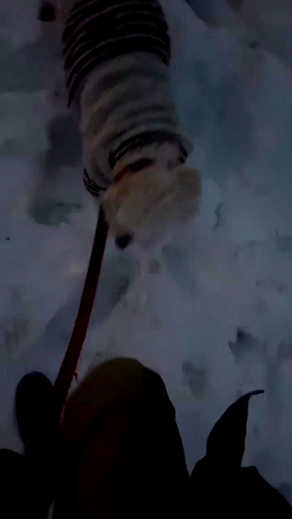 feelbetterinmysweater archive video preview