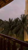 jjas.ding Altpins Profile Picture
