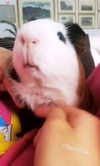 la.vica_ Altpins Profile Picture