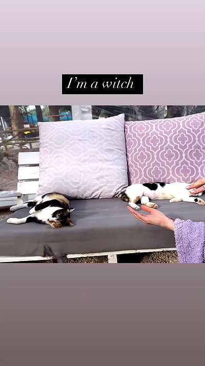 liashaked liashaked archive video