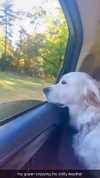livvy_gymnast Altpins Profile Picture