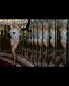 beyonce Altpins Profile Picture