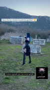 aldreann Altpins Profile Picture