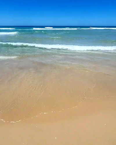 yam_adler yam_adler archive video