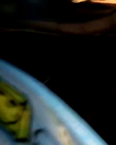 simp_for_cats_ simp_for_cats_ archive video