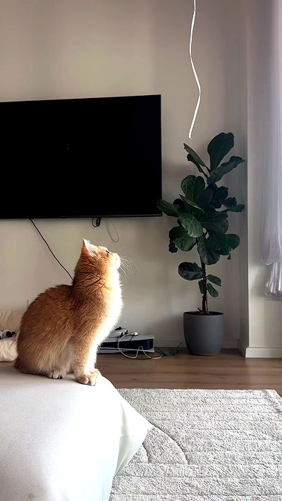 itsilanosh itsilanosh archive video