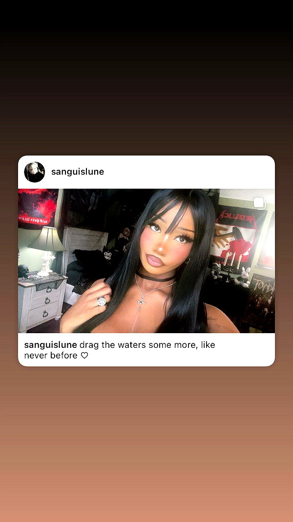 sanguislune archive video preview