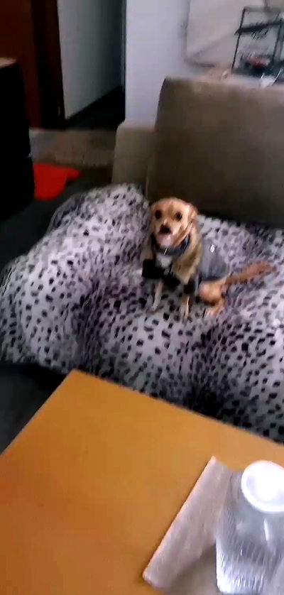 tinapavlov.sky tinapavlov.sky archive video